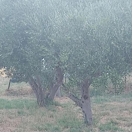 Principessa Telendos Villa Kilimli Dış mekan fotoğraf